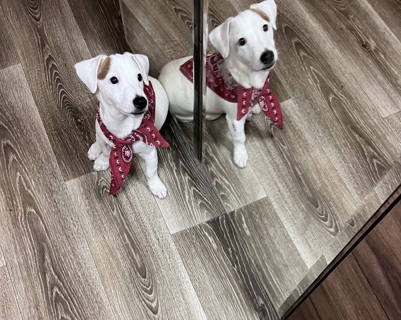 Красотка ищет родителей