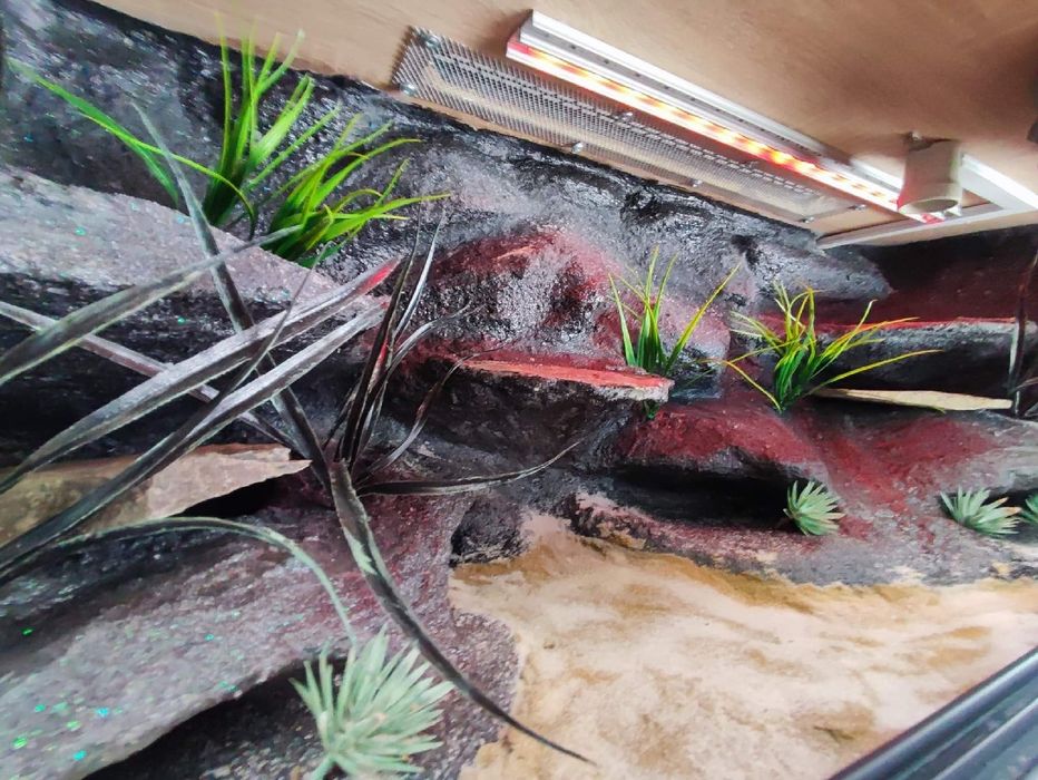 Terrarium 100x40x40 z płyty meblowej wąż boa pyton KOŚCIAN