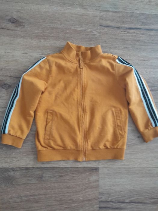 Coccodrillo bluza dla chłopca