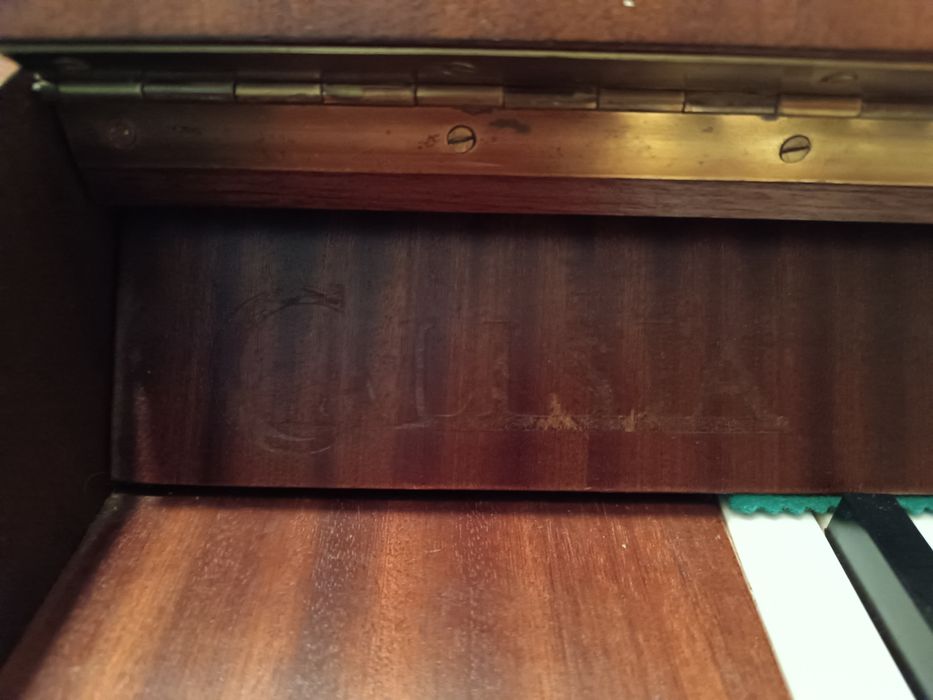 Piano Calisia używane