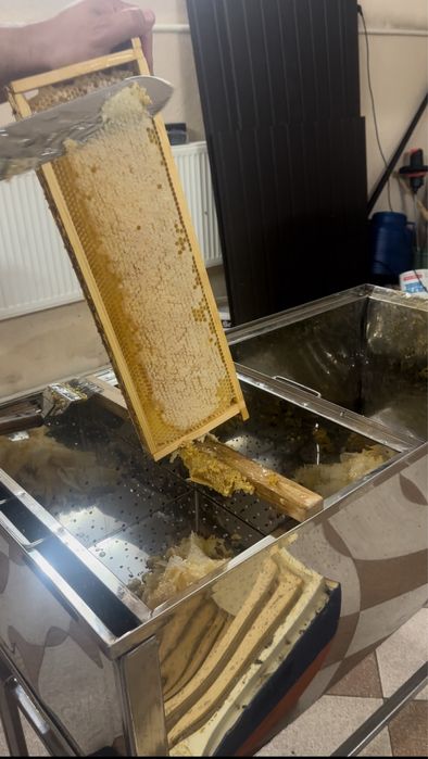 Мед Закарпаття, екологічний з лісів .мед з власної пасіки.