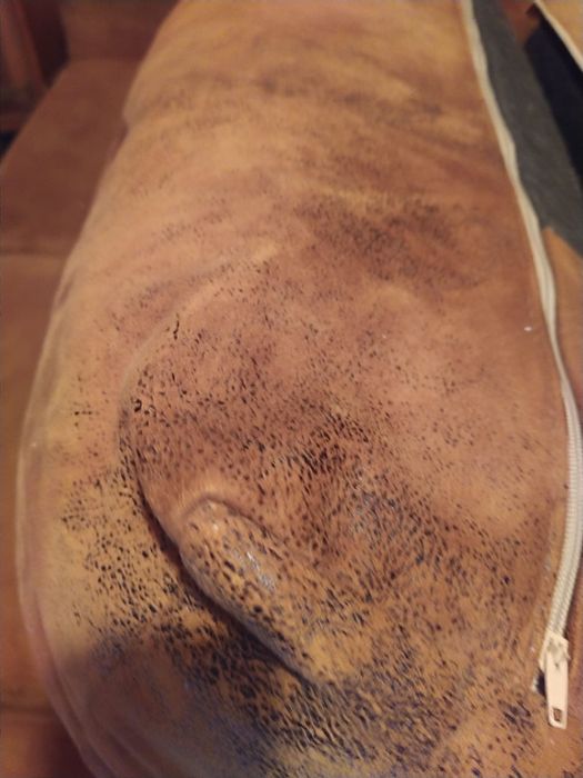 Sofá de dois lugares