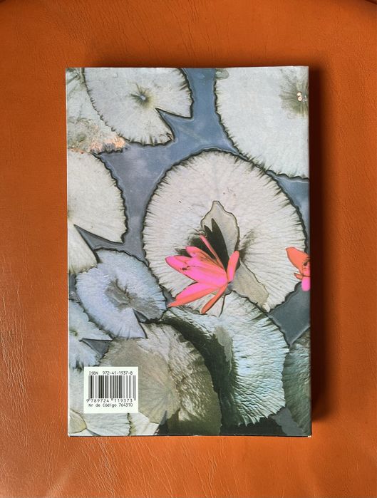 “O Deus das Pequenas Coisas”, Arundhati Roy