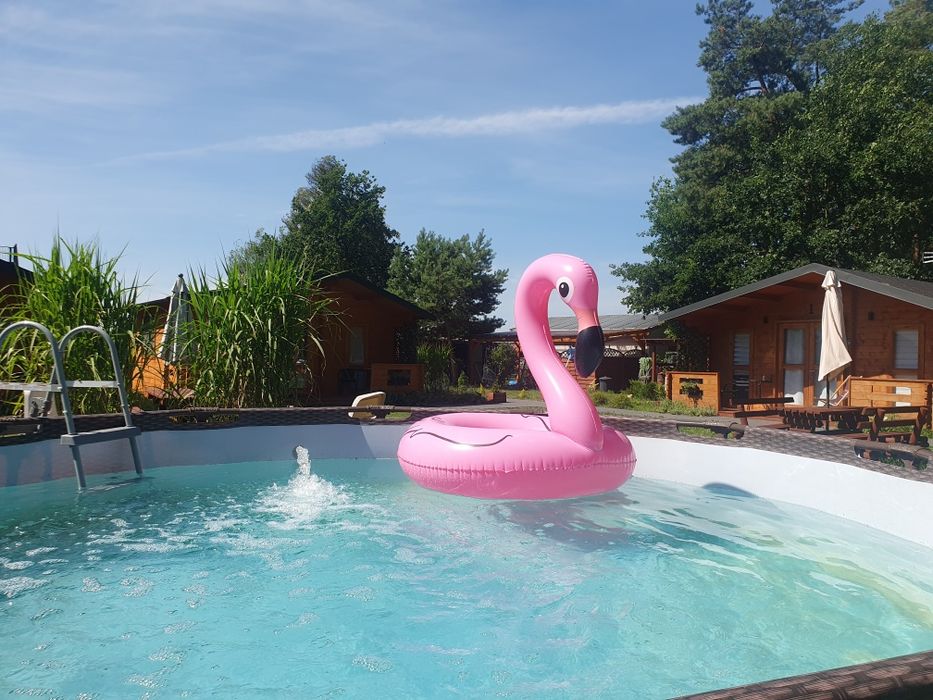 Domki letniskowe, basen, plac zabaw,  zwierzęta mile widziane