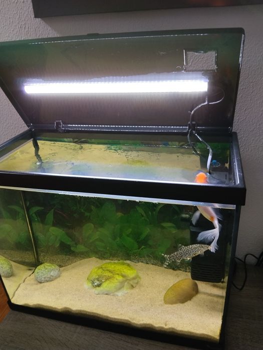 Aquário completo aceito troca