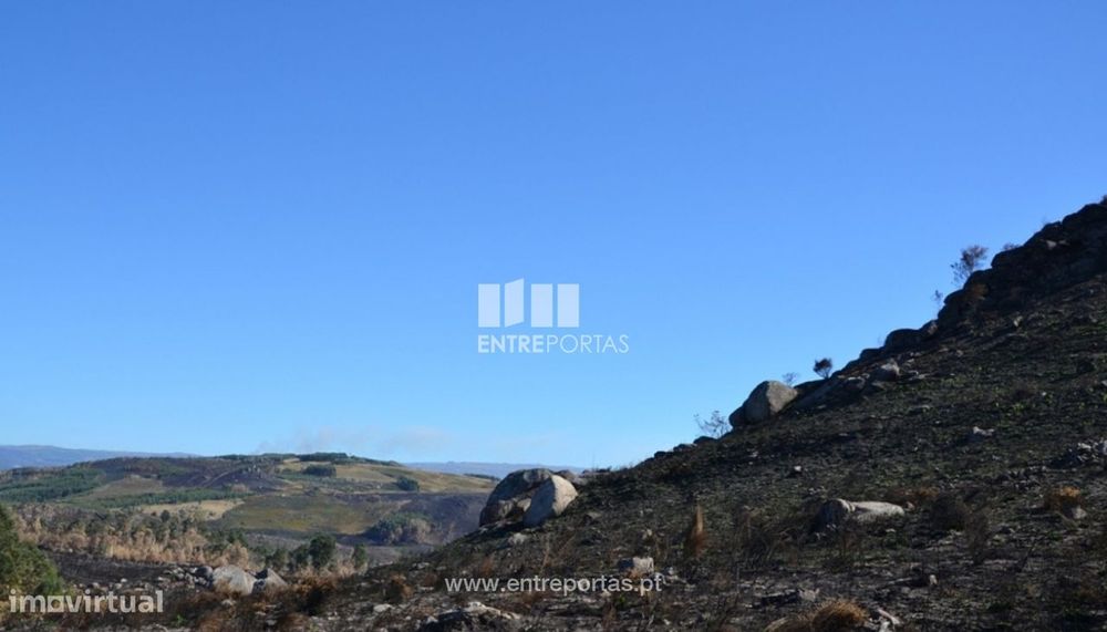 Land for Sale, Manhuncelos, Marco de Canaveses