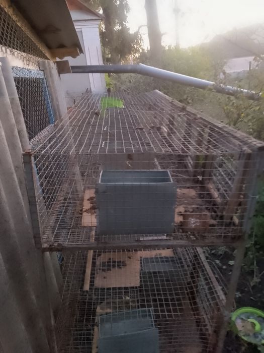 Клітка кроляча 3000