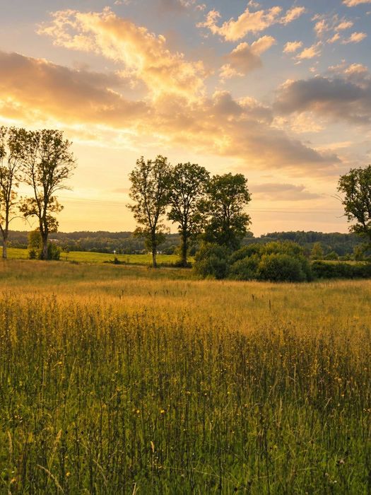 Działka budowlana w leśnej oazie przy jeziorze