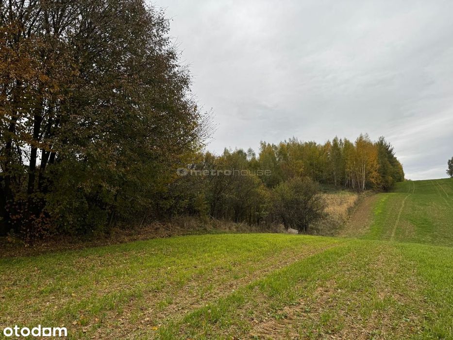Działka rolna  Rozdoły k. Sitna.