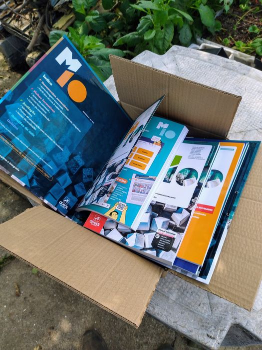 M10 - Matemática - Dossier do professor