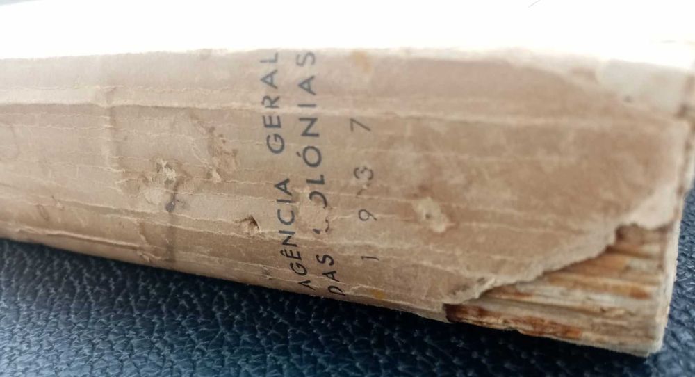 livro: “Catálogo da Exposição Histórica da Ocupação, I Volume”