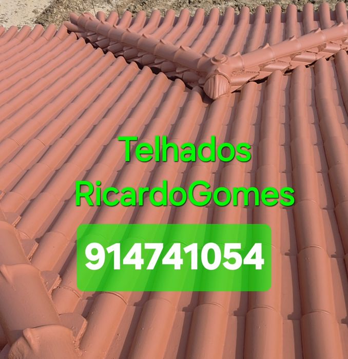 Limpeza Telhados/Reparação de infiltrações/Isolamentos todo o tipo / Pinturas Gerais/Remodelações