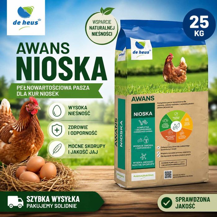 Pasza dla kur niosek De Heus AWANS 25kg | Super nieśność i mocna skorupka!