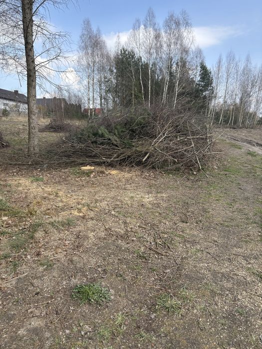 Gałęzie do oddania