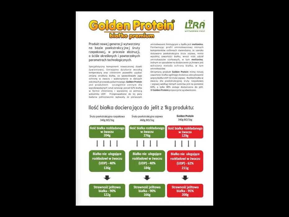 Golden Protein Plus 46%, Zamiennik Śruta sojowa 1t