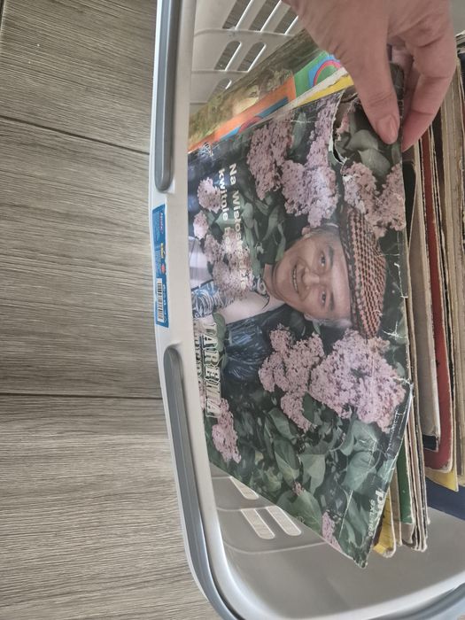 Płyty winylowe około 100 sztuk