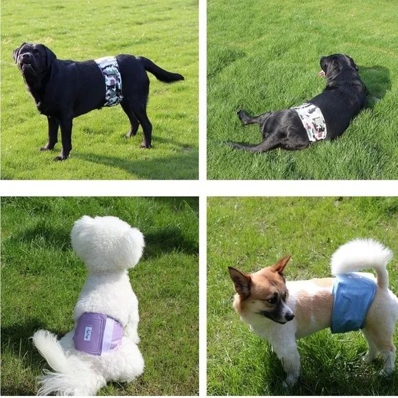 Wielorazowy pas/pielucha dla psa samca Easydoler – rozmiar M