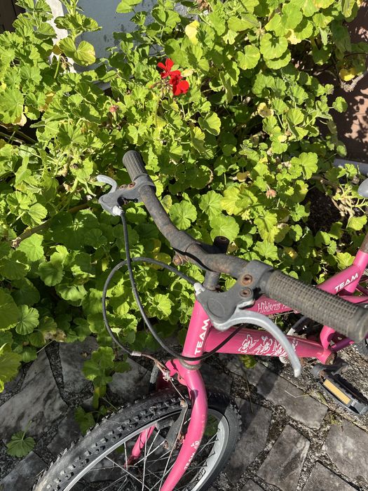 Bicicleta de criança