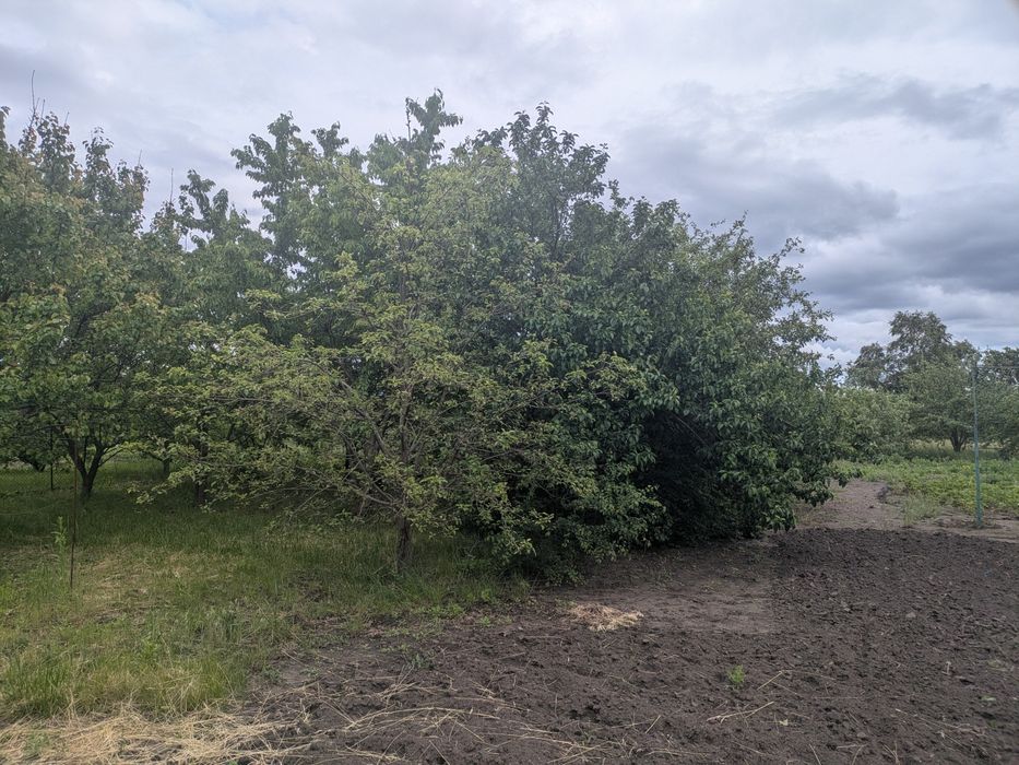 Продам будинок поруч з Полтавою