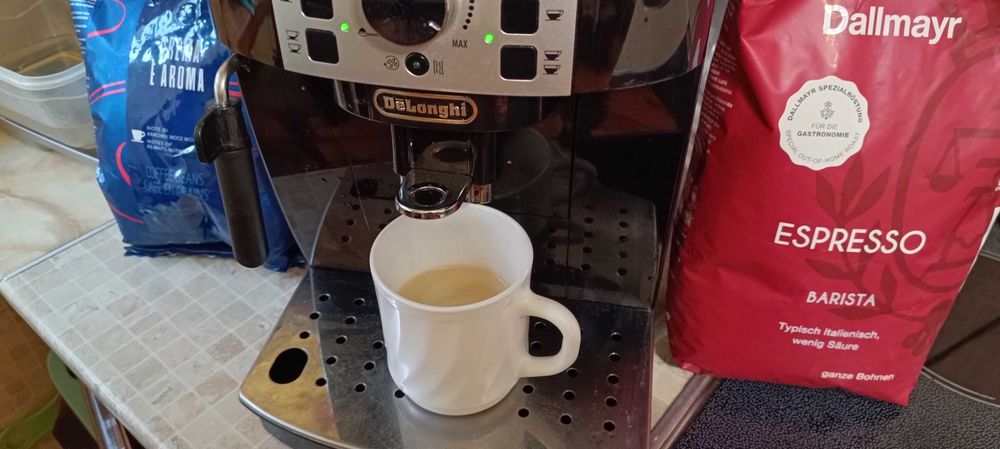 Кавомашина DeLonghi Magnifica S ECAM 22.110.B