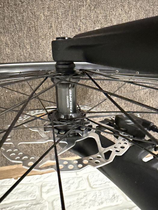 Rower elektryczny na pasku Rose Xtra Watt Plus 2 Bosch L