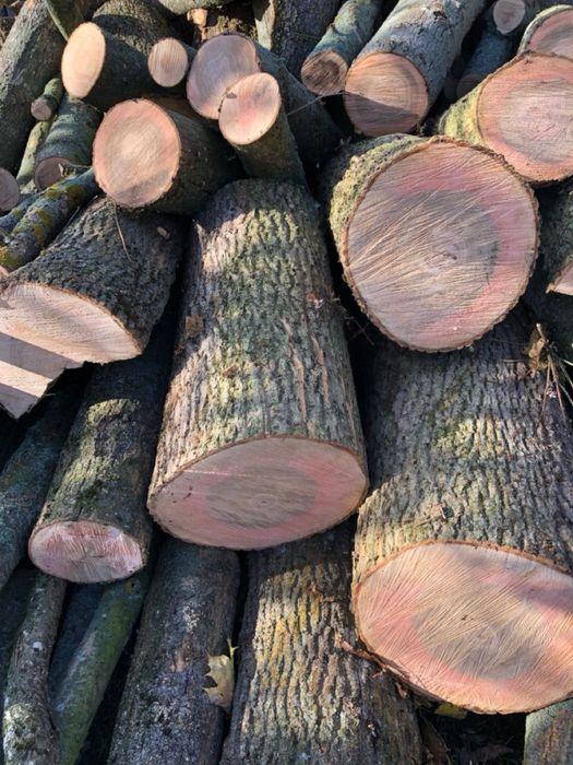 Рубані дрова дуб/ясен з доставкою.