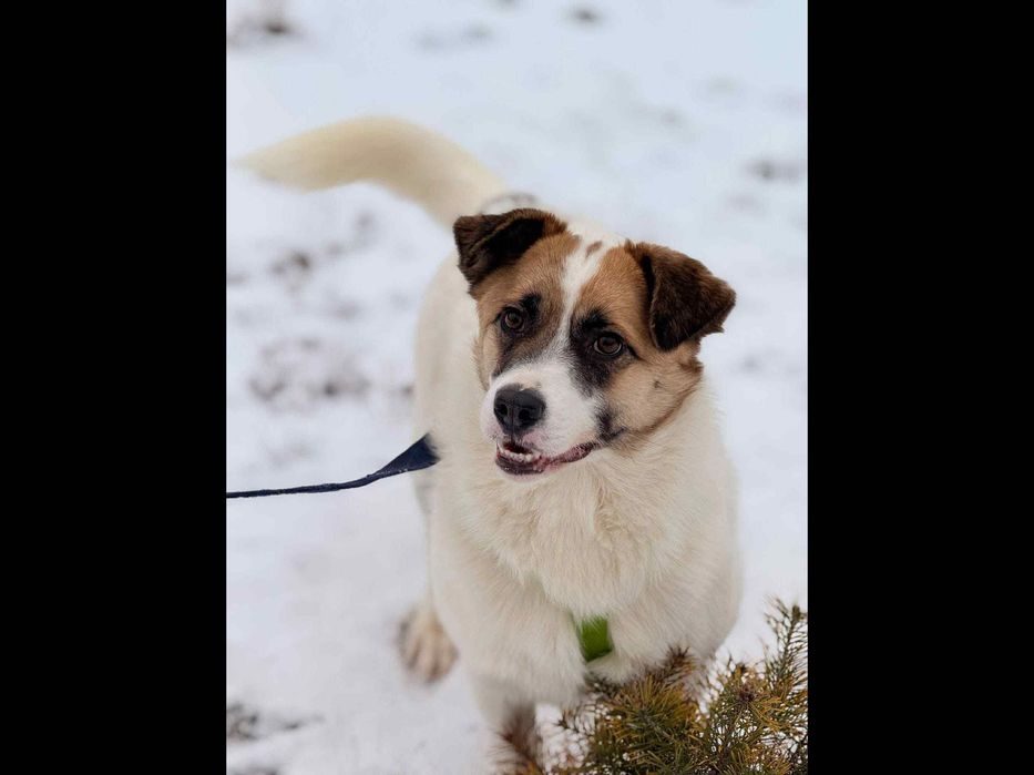 Młodziutki,malutki ,cudowny,tak długo czeka.