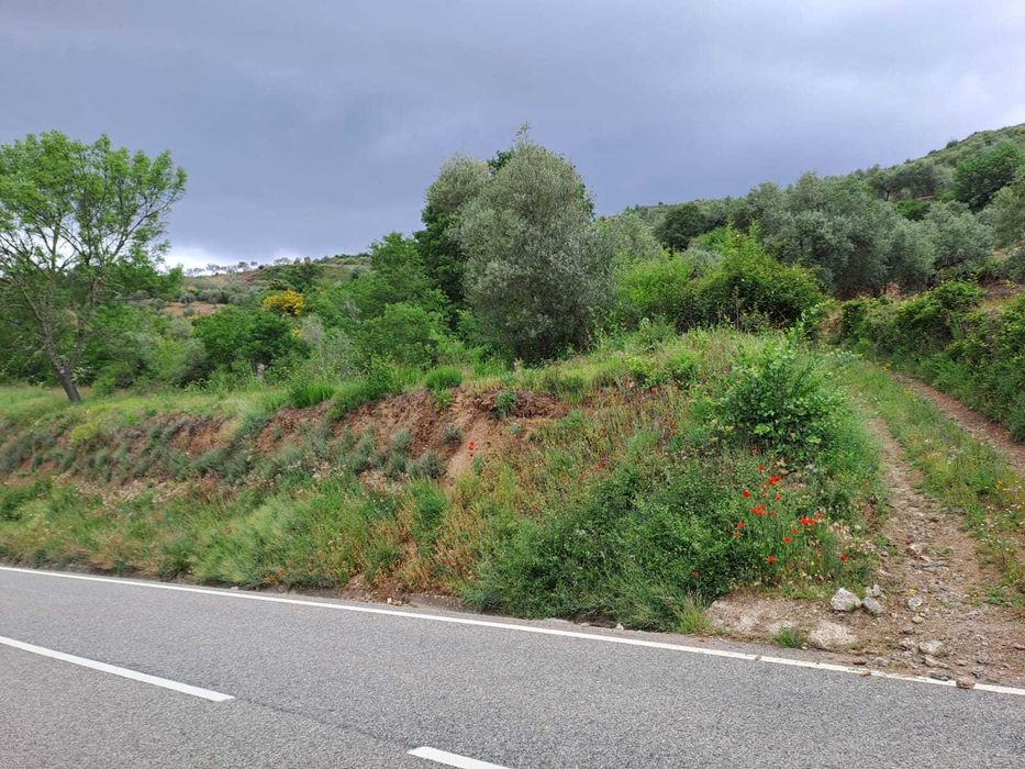 Venda de terreno com 2 600 m2 em Babe - Bragança