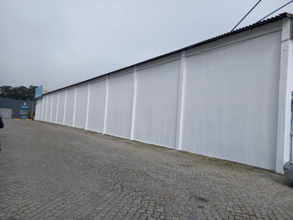 Pintor  profissional