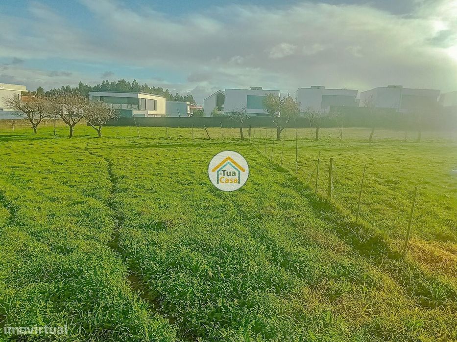 Lote Urbano em Assilhó, Albergaria-a-Velha — Albergaria-A-Velha E Valmaior, Aveiro