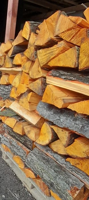 Drewno do wędzenia różne gatunki i do kominka