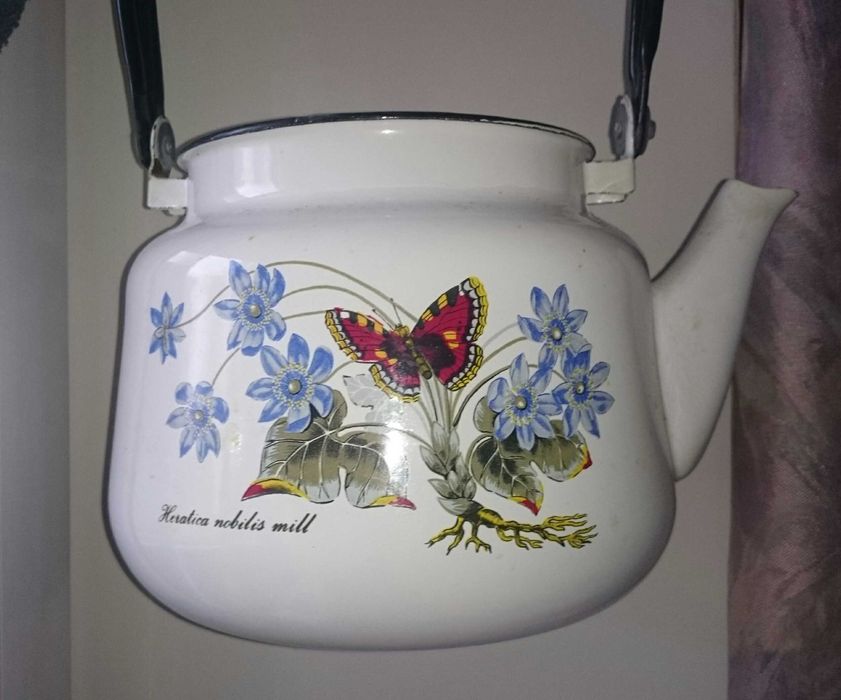 Чайники эмалированные