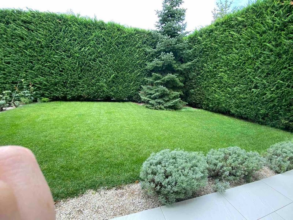 Качественный одноэтажный дом в Совиньоне