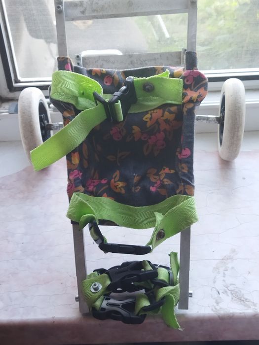 Інвалідний візок для маленьких тварин