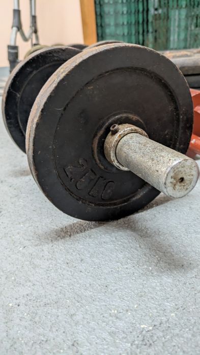 Discos 10/15 kg + Halteres