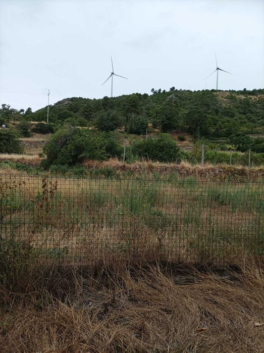 Moradia em vila centenária.
Moradia e comercio.