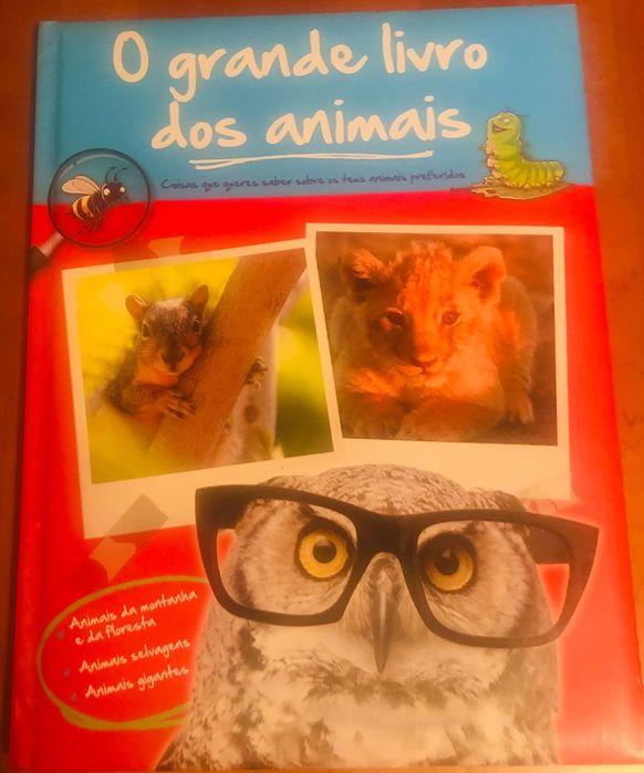 6 Livros fantásticos para várias idades - leitura e lazer