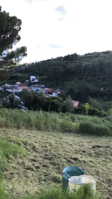 Limpeza de terreno