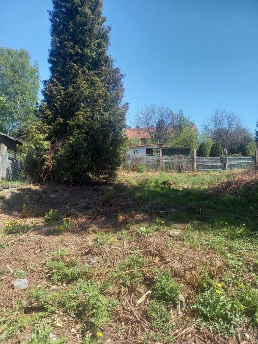 sprzedam ogródek działkowy w Katowicach, ul. Agnieszki, tuż przy Parku Śląskim - Widok 3