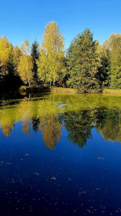 Продам  150сот.землі  та озеро під будівництво комплексу відпочинку