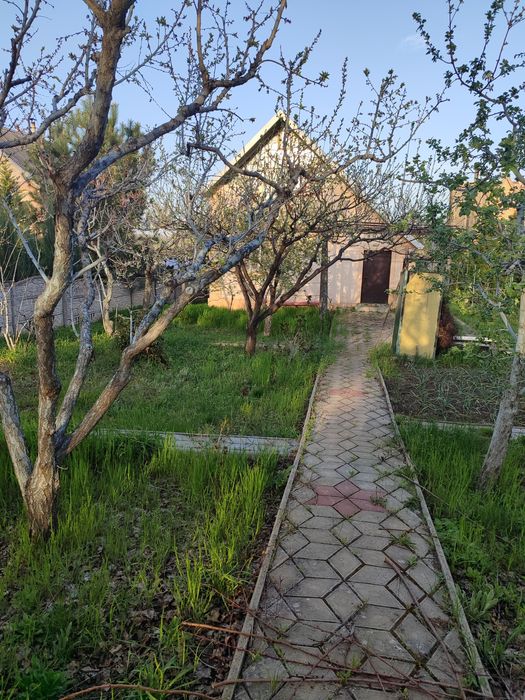 Продам дачу в солов'їній рощі.