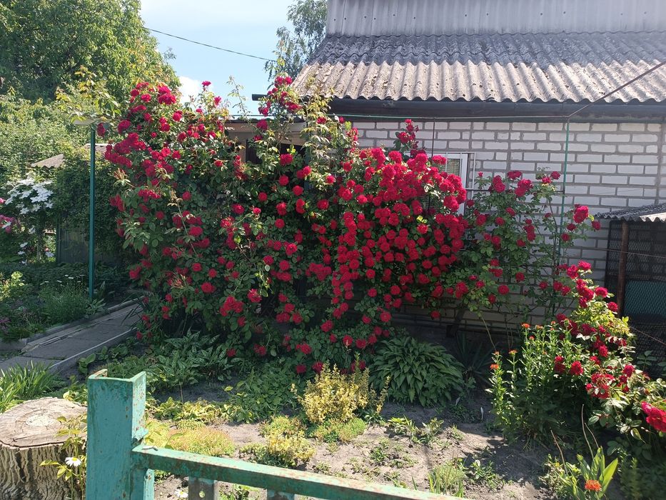 продам дачу общ.Геолог за ПЗТО