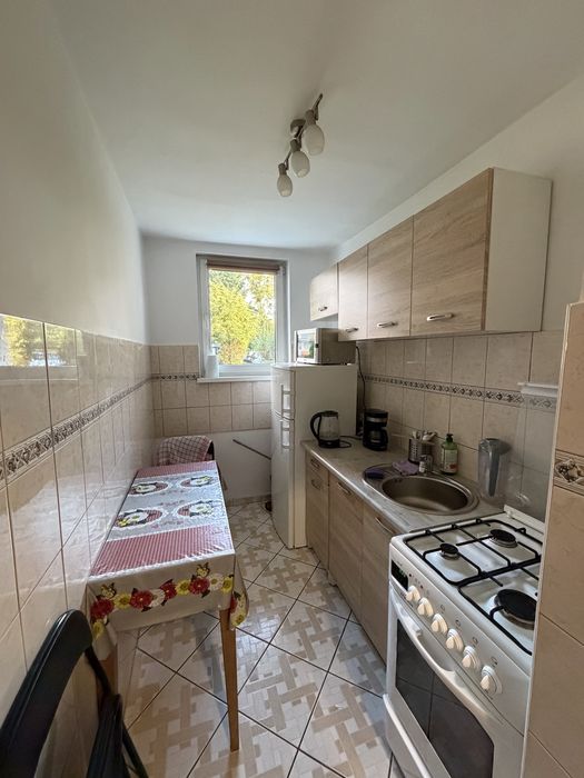 Pokój do wynajęcia dla studenta – centrum Zabrza, ul. Broniewskiego - Widok 4