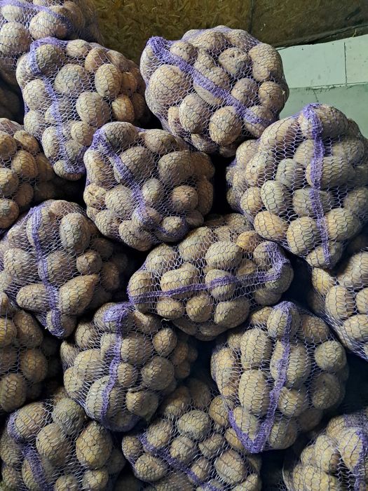 Картопля коннект .