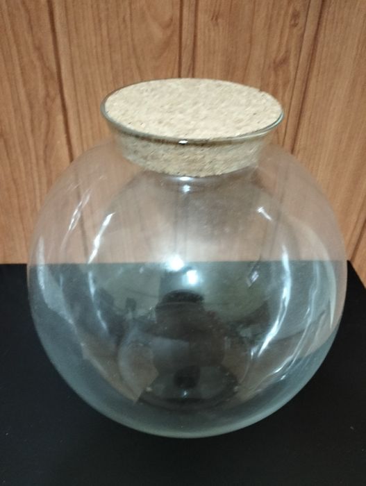 Pote  Decorativo
