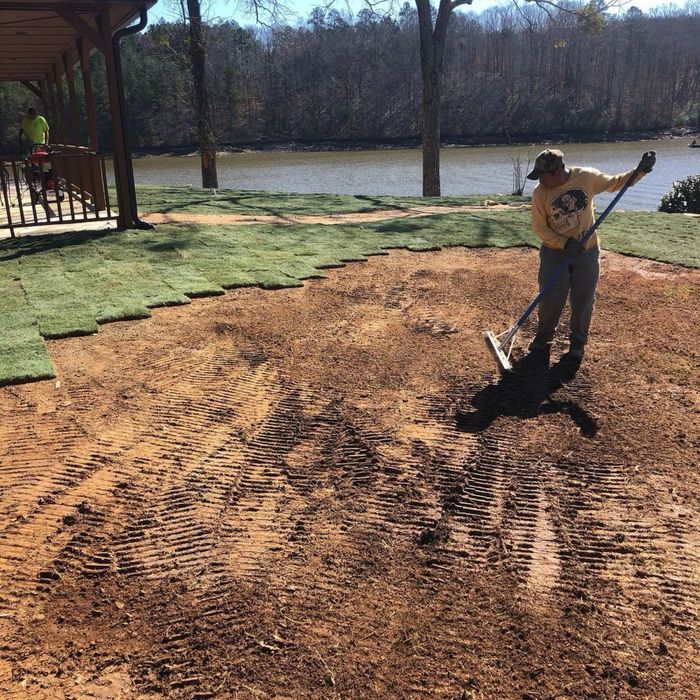 Рулонний газон Озеленення ландшафт укладка