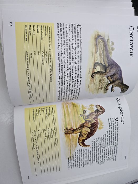 Dinozaury, przewodnik eksperta