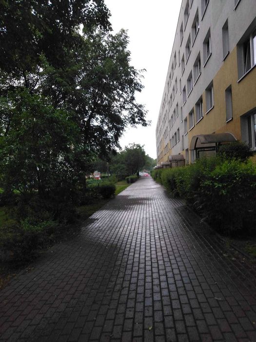 kawalerka na wynajem