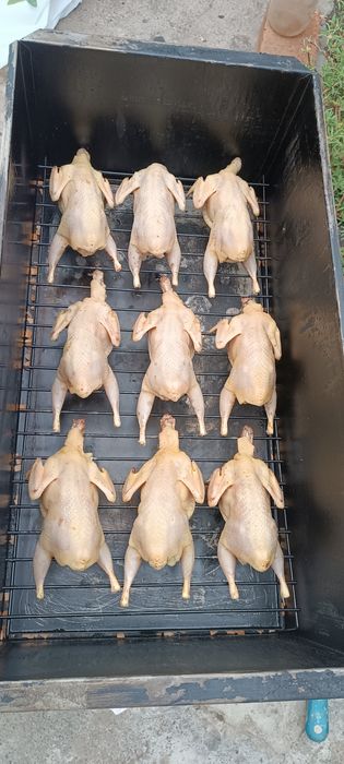 Своя Перепілка,добові,підрощі, сім'я,мясо