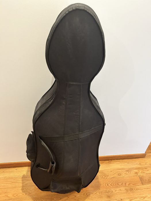 Violoncelo como novo (capa dura) - Ler descricão